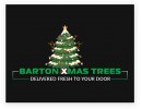 Barton Xmas Trees